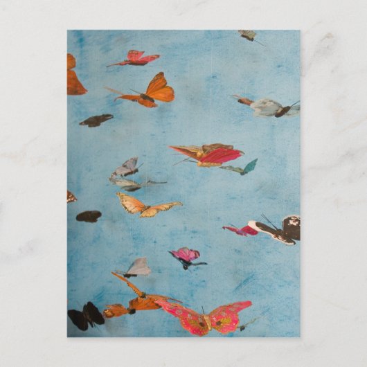 Butterflies Briefkaart (Voorkant)