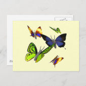 Butterflies Briefkaart (Voorkant / Achterkant)