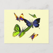 Butterflies Briefkaart (Voorkant)