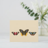 Butterflies Briefkaart (Staand voorkant)