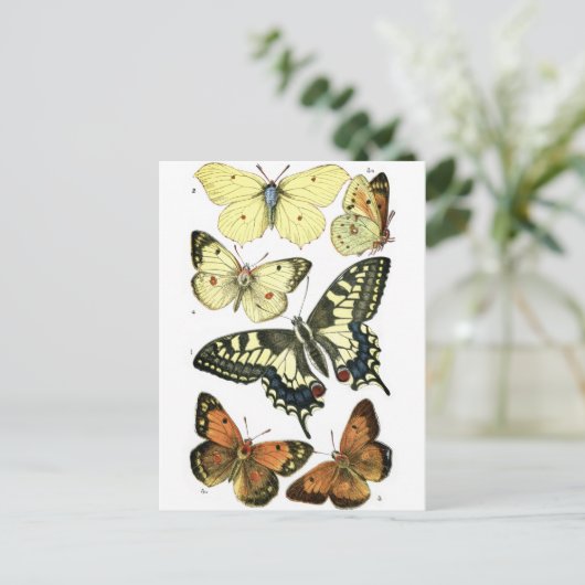 Butterflies Briefkaart (Staand voorkant)