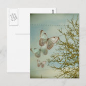 Butterflies Briefkaart (Voorkant / Achterkant)