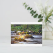 Butterflies Briefkaart (Staand voorkant)