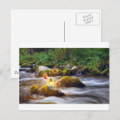 Butterflies Briefkaart (Voorkant / Achterkant)