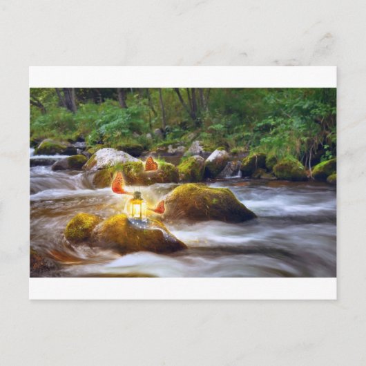 Butterflies Briefkaart (Voorkant)