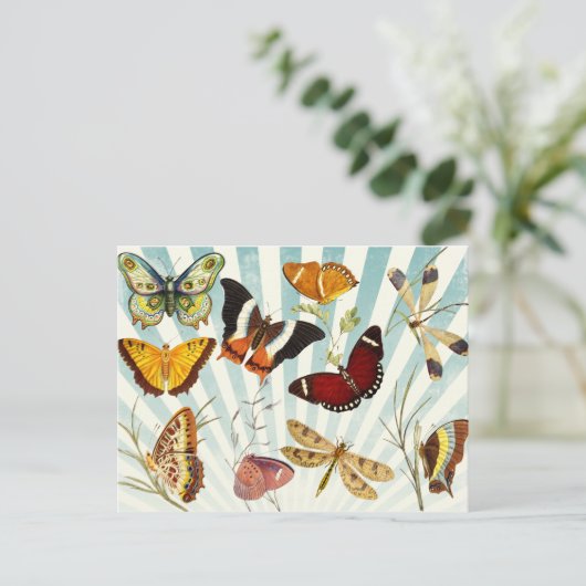  Butterflies Briefkaart (Staand voorkant)