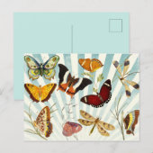  Butterflies Briefkaart (Voorkant / Achterkant)