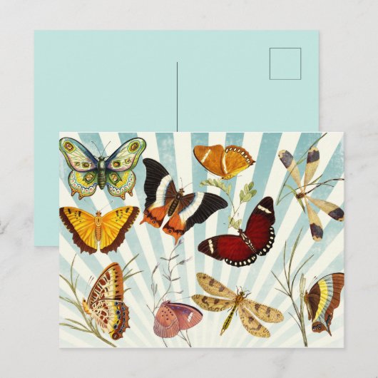  Butterflies Briefkaart (Voorkant / Achterkant)