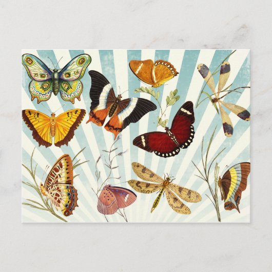  Butterflies Briefkaart (Voorkant)