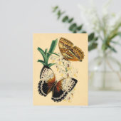  Butterflies Briefkaart (Staand voorkant)