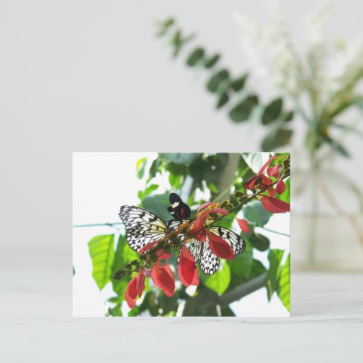 Butterflies Briefkaart (Staand voorkant)