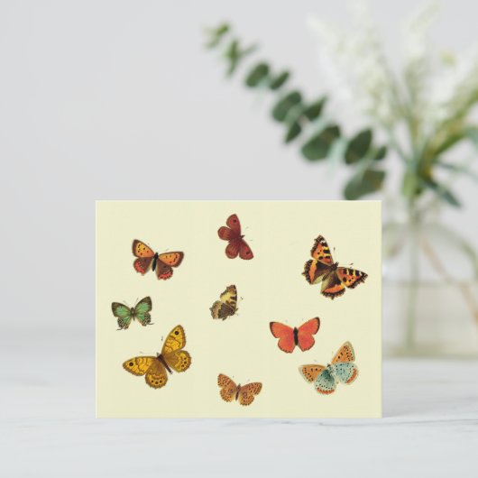 Butterflies Briefkaart (Staand voorkant)
