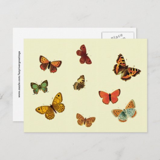 Butterflies Briefkaart (Voorkant / Achterkant)