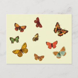 Butterflies Briefkaart