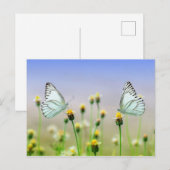 Butterflies Briefkaart (Voorkant / Achterkant)