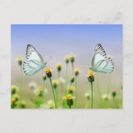 Butterflies Briefkaart