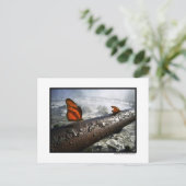 Butterflies Briefkaart (Staand voorkant)