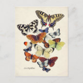  Butterflies Briefkaart (Voorkant)