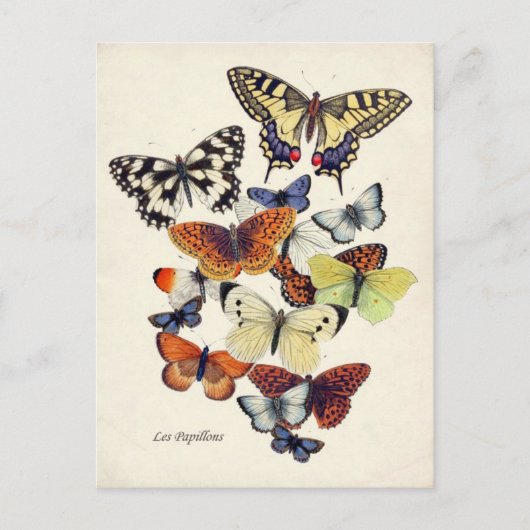  Butterflies Briefkaart (Voorkant)