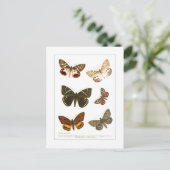 Butterflies Briefkaart (Staand voorkant)