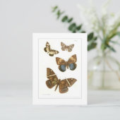 Butterflies Briefkaart (Staand voorkant)