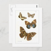 Butterflies Briefkaart (Voorkant / Achterkant)