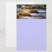 Butterflies Briefpapier (Voorkant / Achterkant)