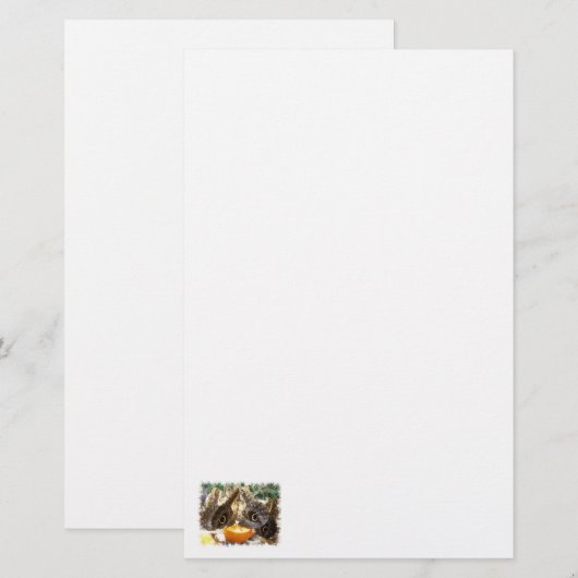 BUTTERFLIES BRIEFPAPIER (Voorkant / Achterkant)