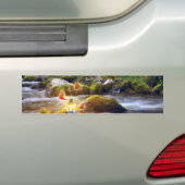 Butterflies Bumpersticker (Op auto)