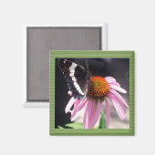 Butterflies Business Magneet (Voorkant / Achterkant)