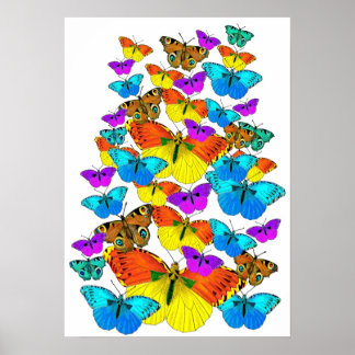 Butterflies. Butterflies. Poster