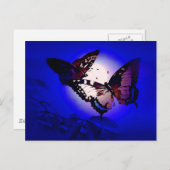 Butterflies - Butterfly Briefkaart (Voorkant / Achterkant)