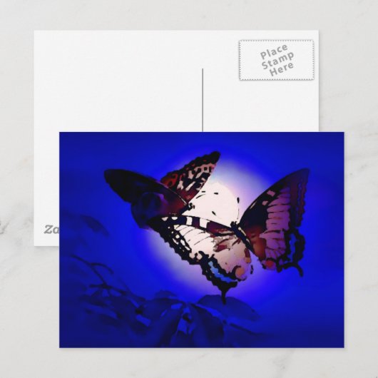 Butterflies - Butterfly Briefkaart (Voorkant / Achterkant)