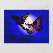 Butterflies - Butterfly Briefkaart (Voorkant)