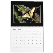 Butterflies Calendar 2022 van Tom Minutolo Kalender (Mar 2026)