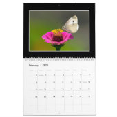 Butterflies Calendar 2022 van Tom Minutolo Kalender (Feb 2026)