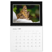 Butterflies Calendar 2022 van Tom Minutolo Kalender (Jan 2027)