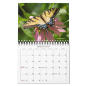 Butterflies Calendar Kalender (Mar 2027)