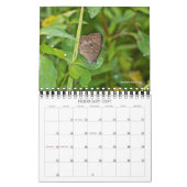 Butterflies Calendar Kalender (Feb 2027)