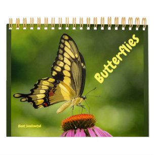 Butterflies Calendar Kalender