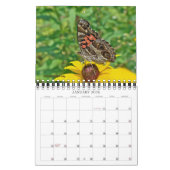 Butterflies Calendar Kalender (Jan 2026)