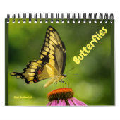 Butterflies Calendar Kalender (Hoes)
