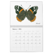 Butterflies Calendar Kalender (Feb 2026)