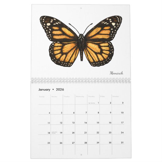 Butterflies Calendar Kalender (Jan 2026)