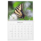 Butterflies Calendar Kalender (Mar 2027)