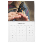 Butterflies Calendar Kalender (Feb 2027)