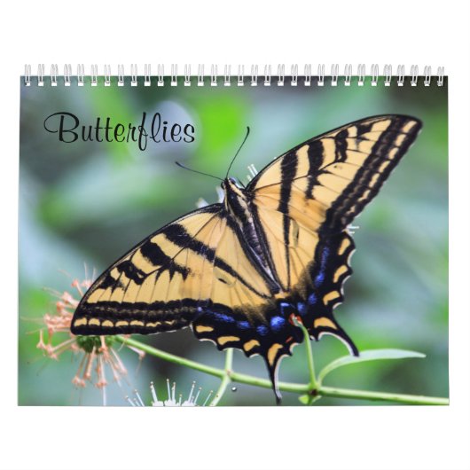 Butterflies Calendar Kalender (Hoes)