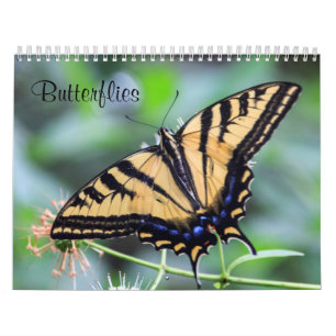 Butterflies Calendar Kalender