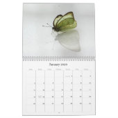 Butterflies Calendar Kalender (Jan 2026)