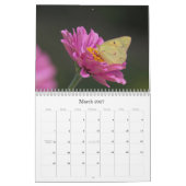 Butterflies Calendar Kalender (Mar 2027)